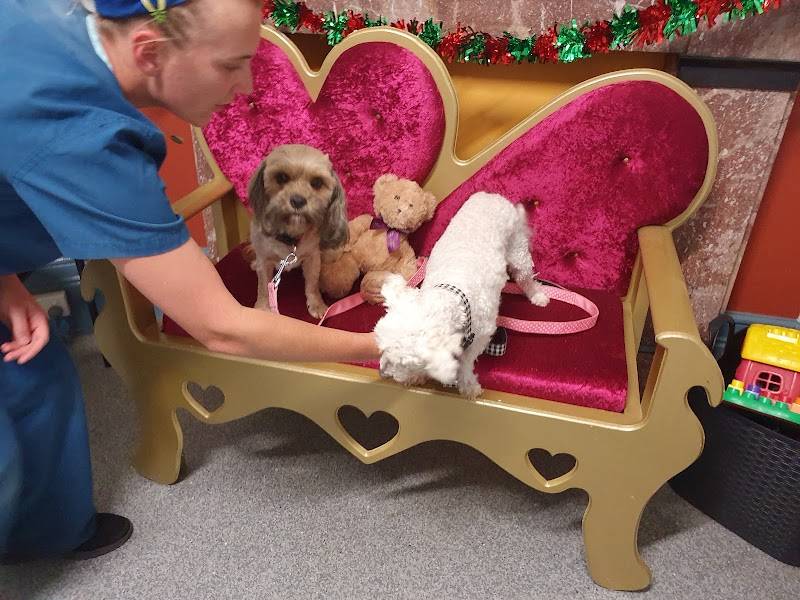 Pet Medical